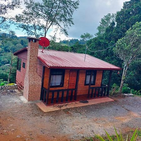 Las Bromelias Lodge Paso Macho المظهر الخارجي الصورة