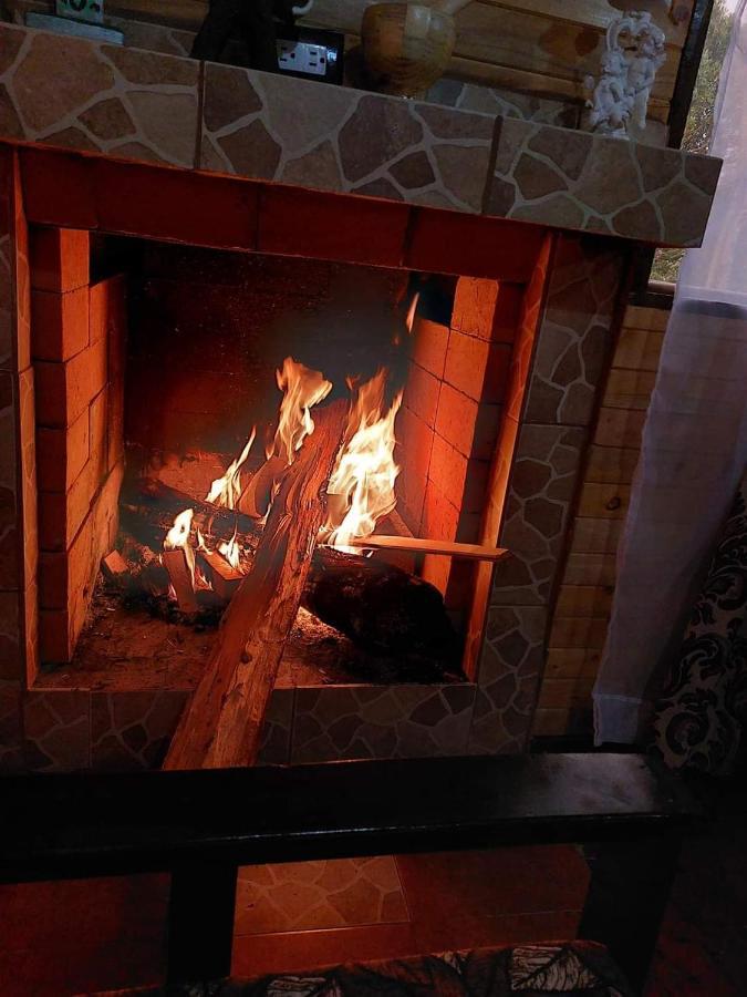 Las Bromelias Lodge Paso Macho المظهر الخارجي الصورة