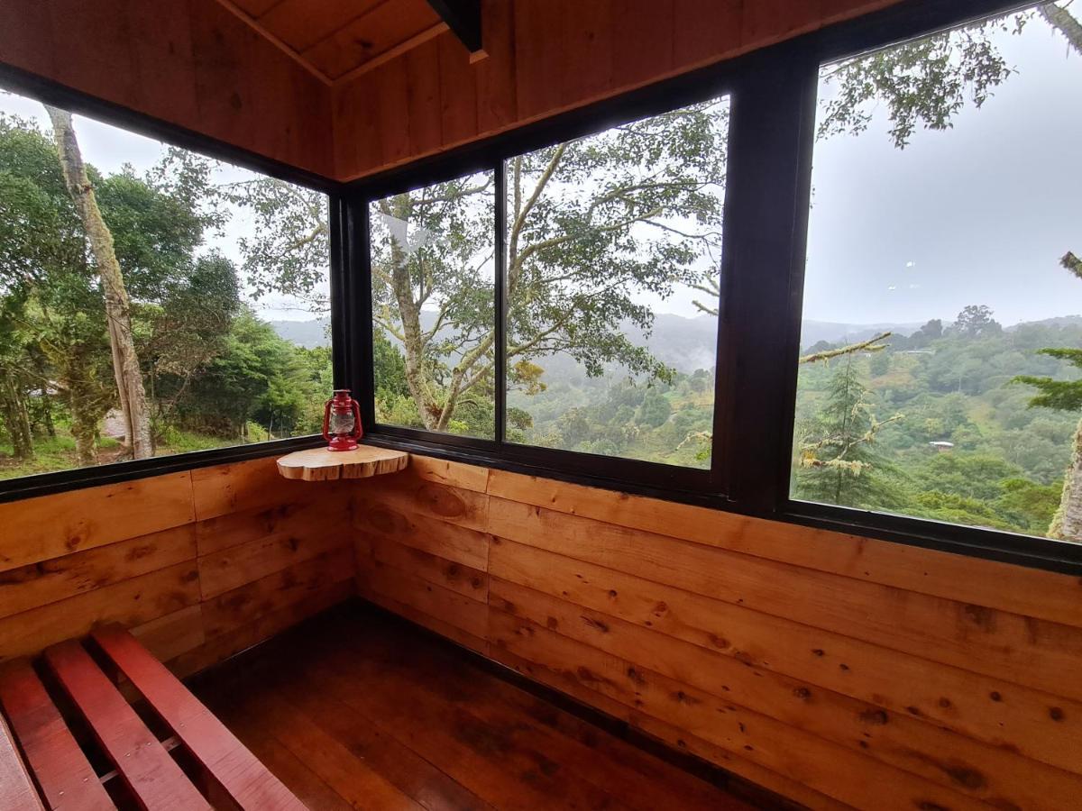 Las Bromelias Lodge Paso Macho المظهر الخارجي الصورة