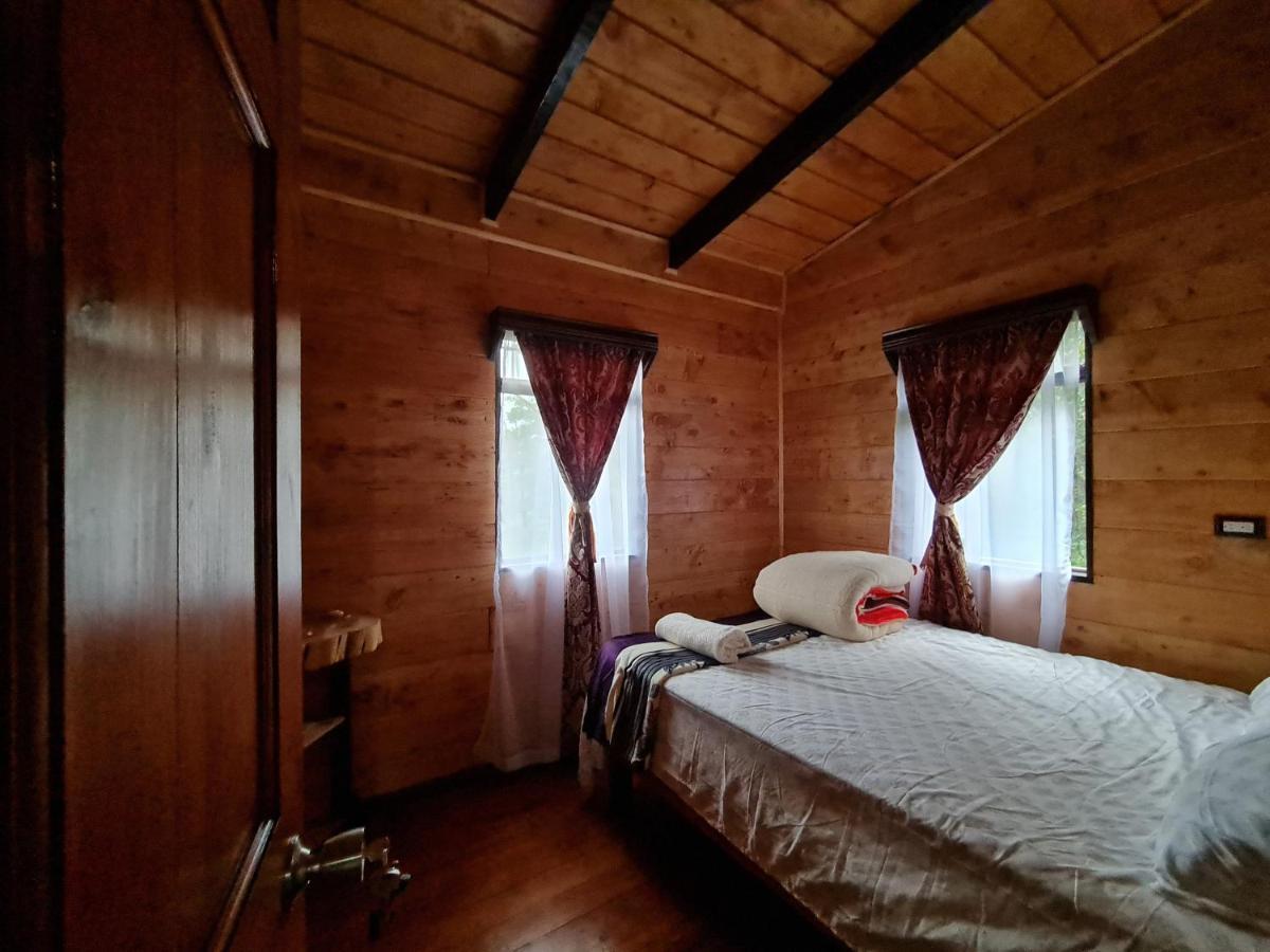 Las Bromelias Lodge Paso Macho المظهر الخارجي الصورة
