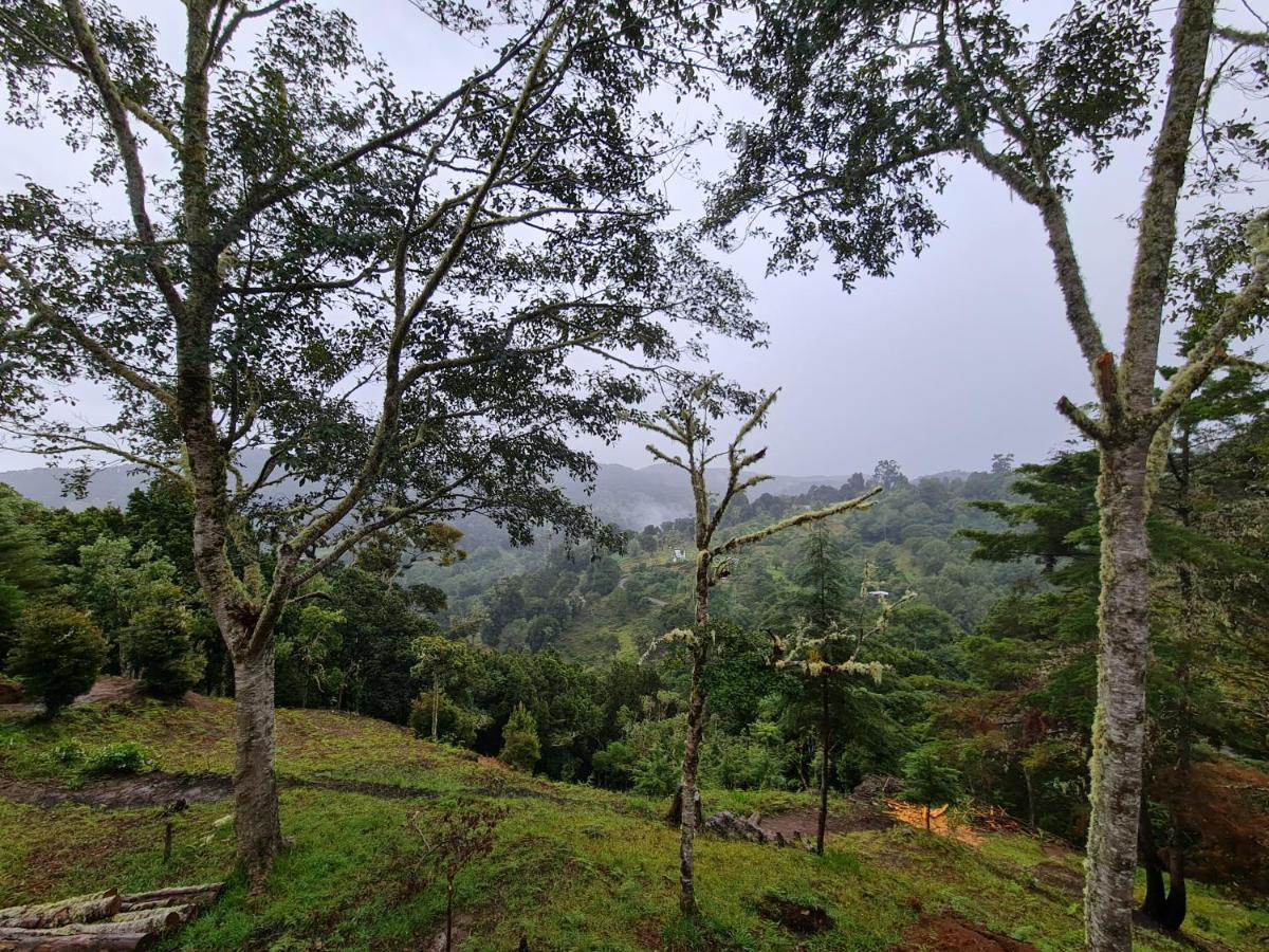Las Bromelias Lodge Paso Macho المظهر الخارجي الصورة