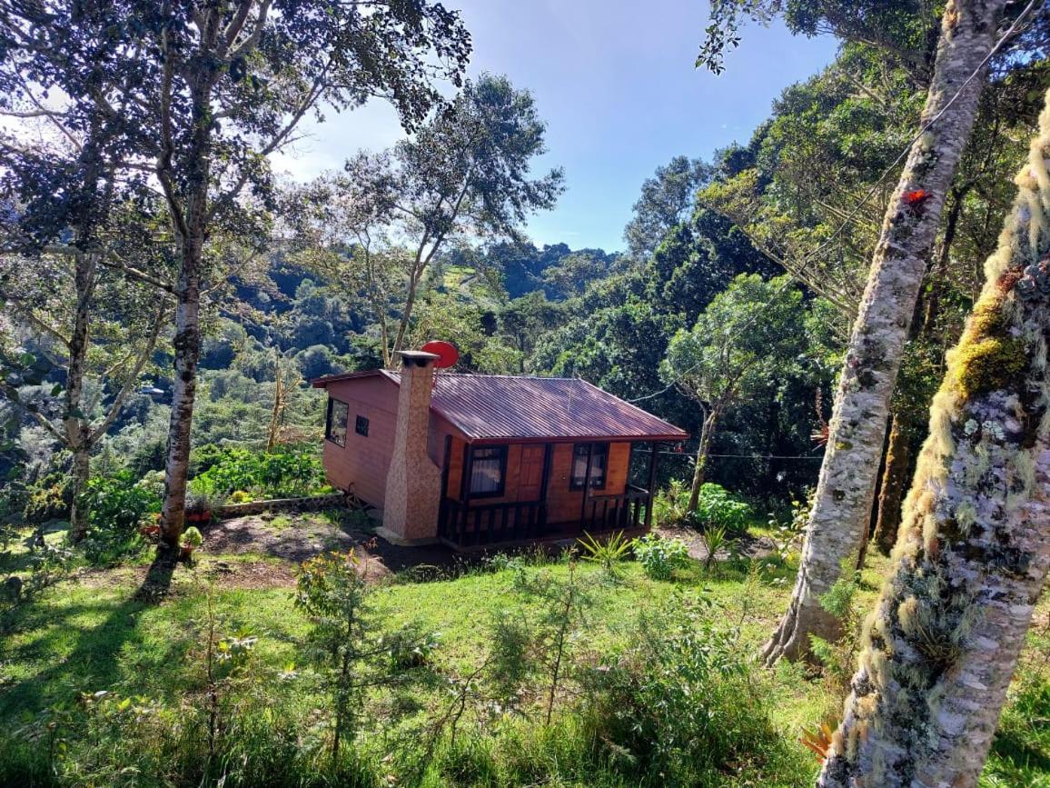 Las Bromelias Lodge Paso Macho المظهر الخارجي الصورة