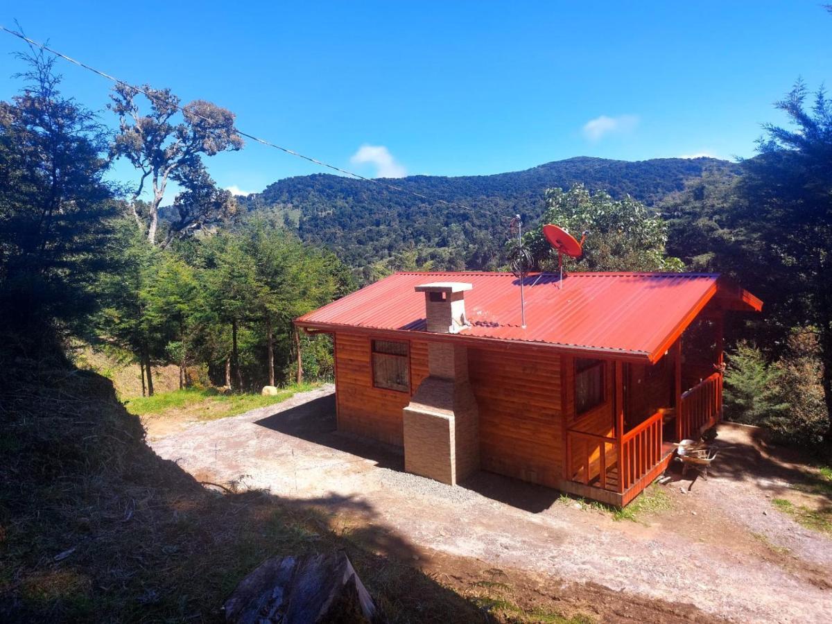 Las Bromelias Lodge Paso Macho المظهر الخارجي الصورة