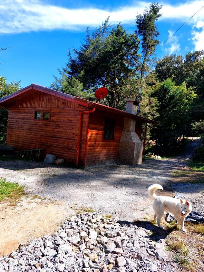 Las Bromelias Lodge Paso Macho المظهر الخارجي الصورة